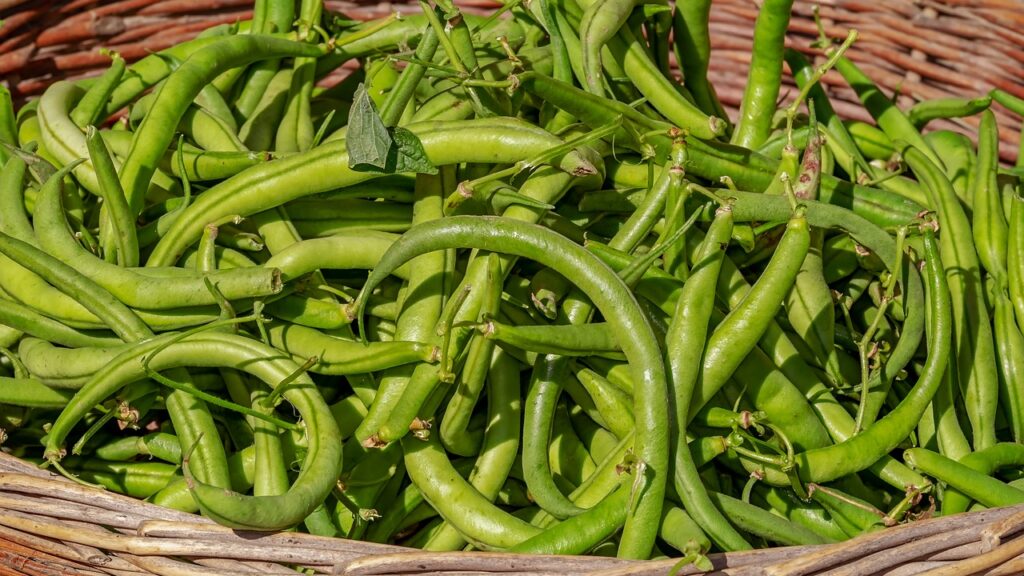 green beans